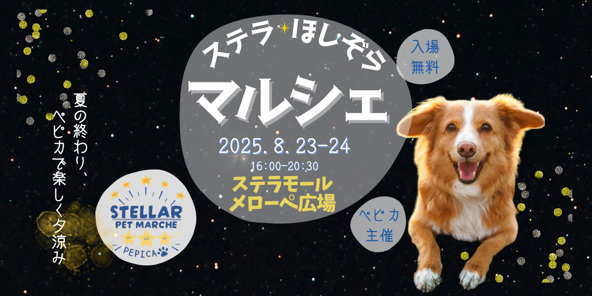 ステラタウンほしぞらマルシェ開催