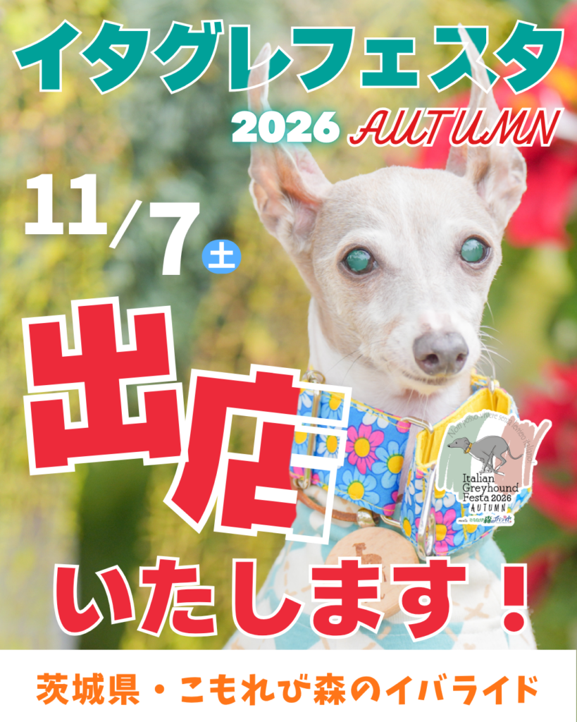 日本最大級のイタグレフェス!イタグレフェスタ。11/7に茨城県こもれびの森イバライドで開催!