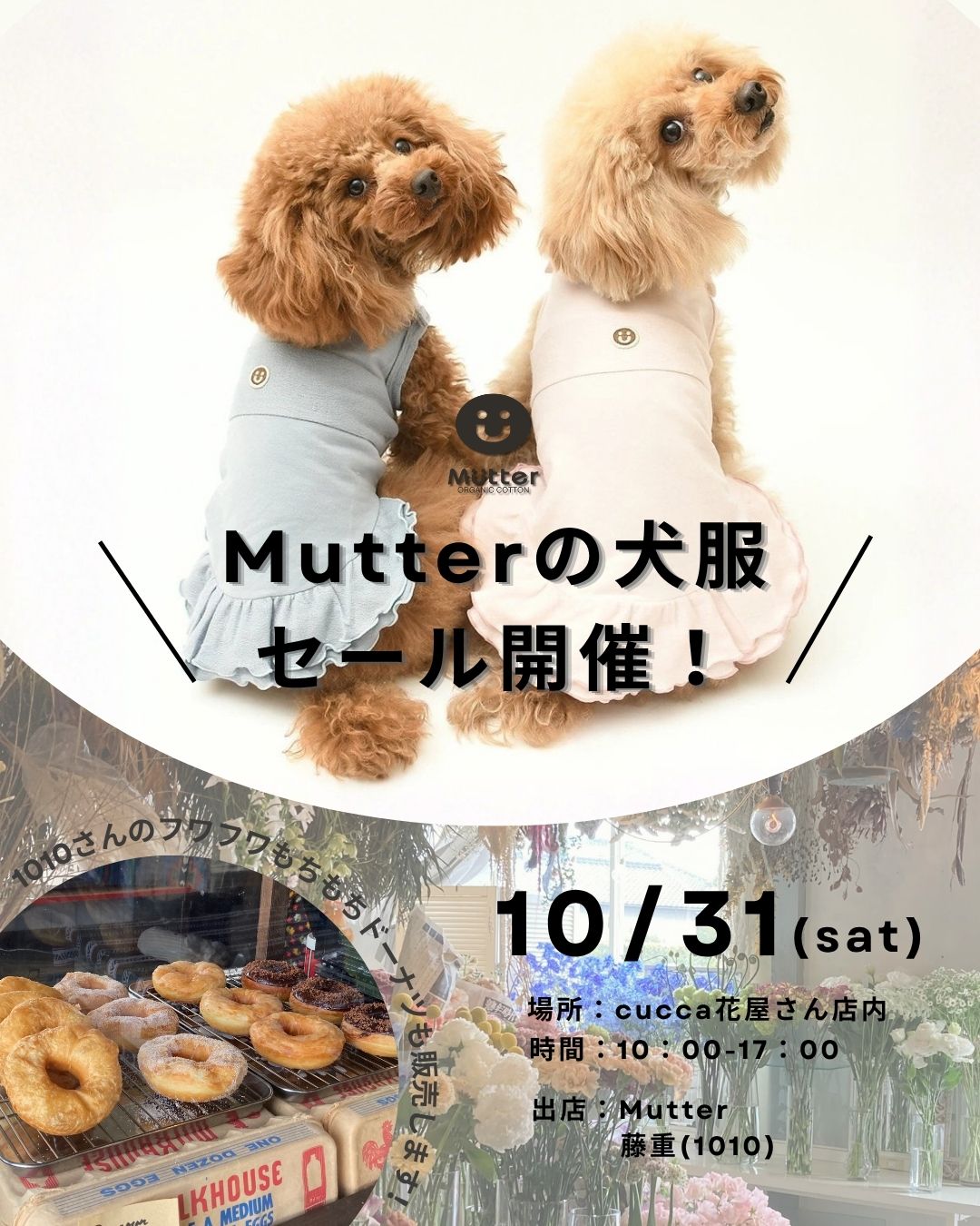 Mutter犬服セールイベント